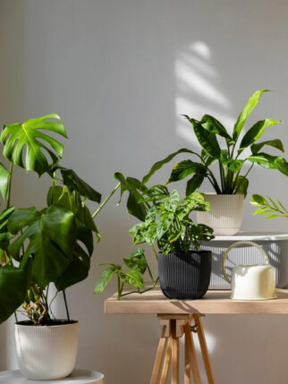 gallery-cr2 gallery-cr2
