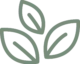 logo-icon-color logo-icon-color